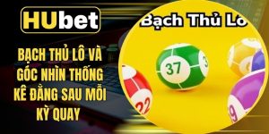 Bạch Thủ Lô Và Góc Nhìn Thống Kê Đằng Sau Mỗi Kỳ Quay 