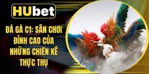 Đá Gà C1: Sân Chơi Đỉnh Cao Của Những Chiến Kê Thực Thụ