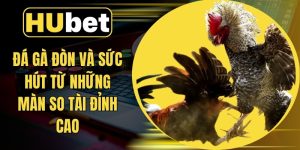 Đá Gà Đòn Và Sức Hút Từ Những Màn So Tài Đỉnh Cao