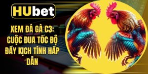 Xem đá gà C3: Cuộc đua tốc độ đầy kịch tính hấp dẫn